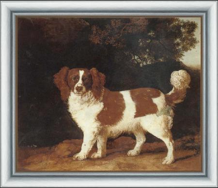 framed  George Stubbs Dog, Ta3123-3